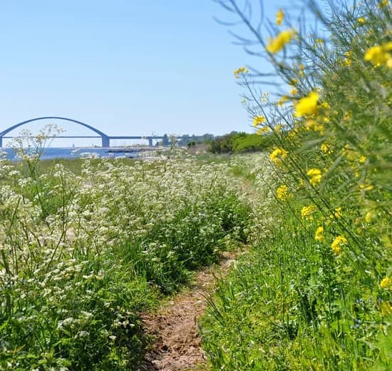 Strand und Küste auf Fehmarn